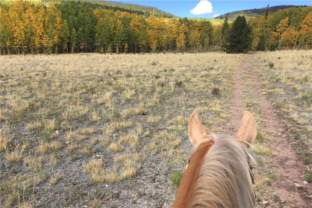 114 Round Hill Road Fairplay, CO 80440 - Photo 33 of 35 a view of roof with a yard
