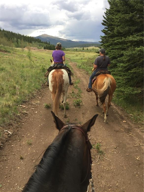 114 Round Hill Road Fairplay, CO 80440 - Photo 34 of 35 a view of a lake from a balcony