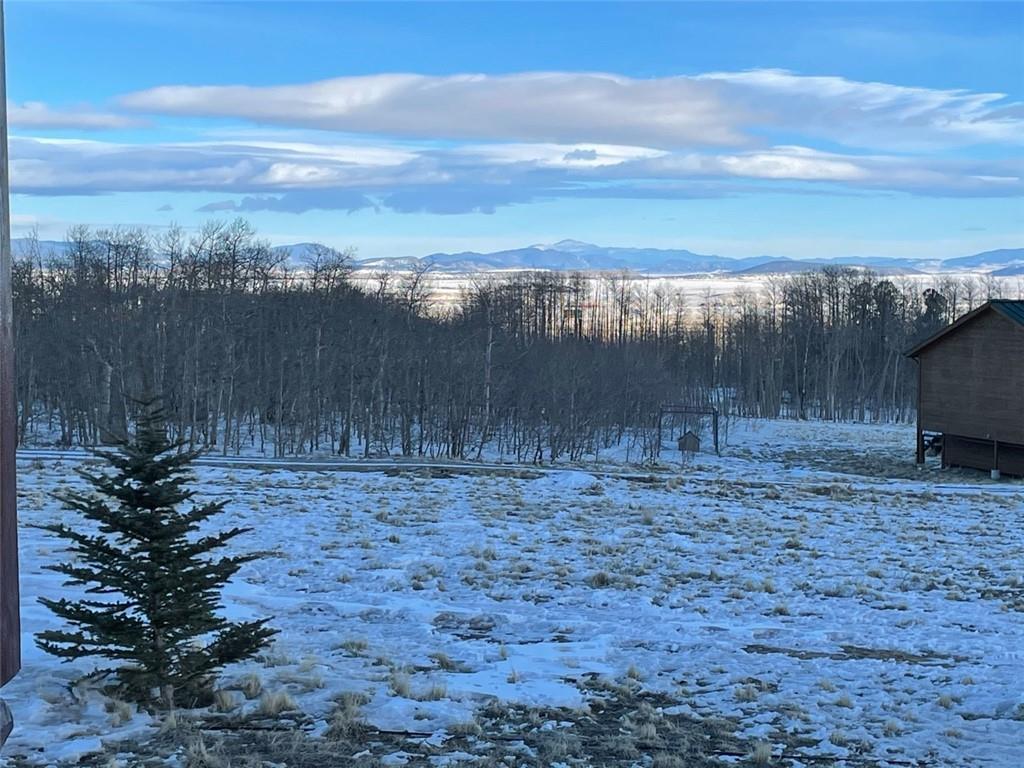 114 Round Hill Road Fairplay, CO 80440 - Photo 35 of 35 a view of a dry yard with trees