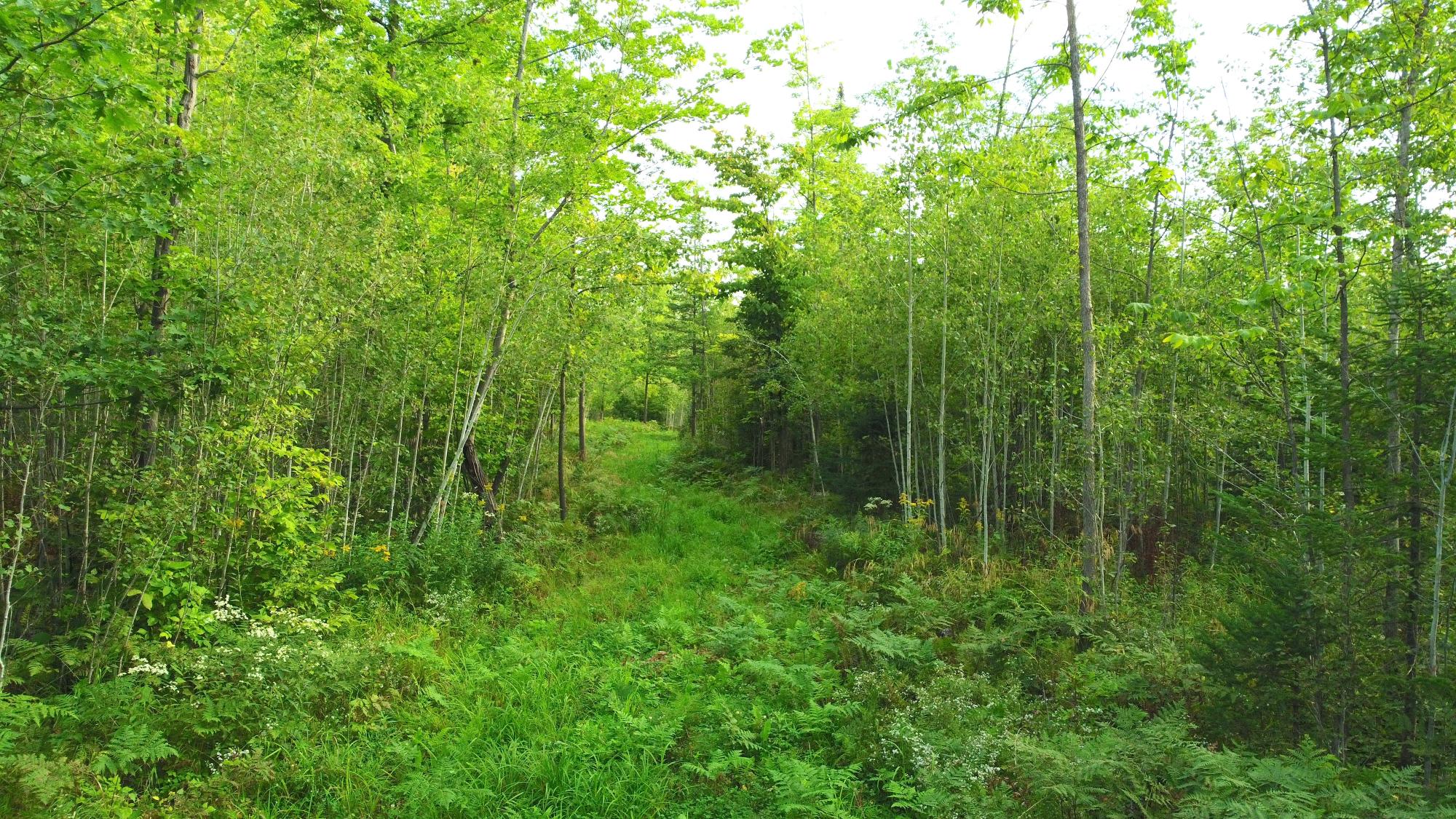 60240 Stuart Road Mason, WI 54856 - Photo 65 of 99 Gallery Image 65