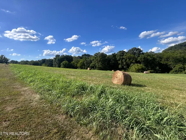 $140,000 | Lot 8 C Park View Drive, Blaine, TN 37709