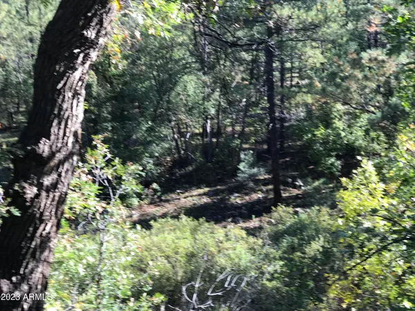 $1,030,000 | 300 East White Mountain Boulevard, Lakeside, AZ 85929