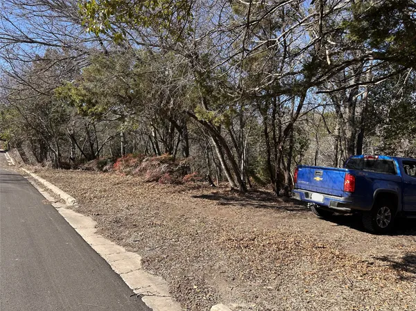 a street view with large trees