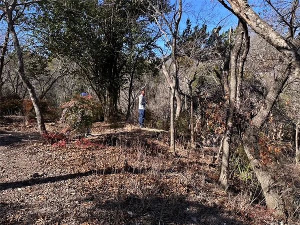 a view of outdoor space with lots of trees