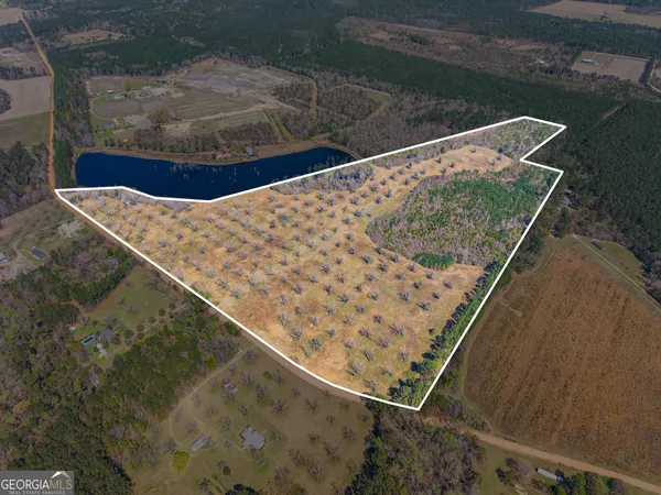 $749,000 | 0 Cleary Road, Brooklet, GA 30415