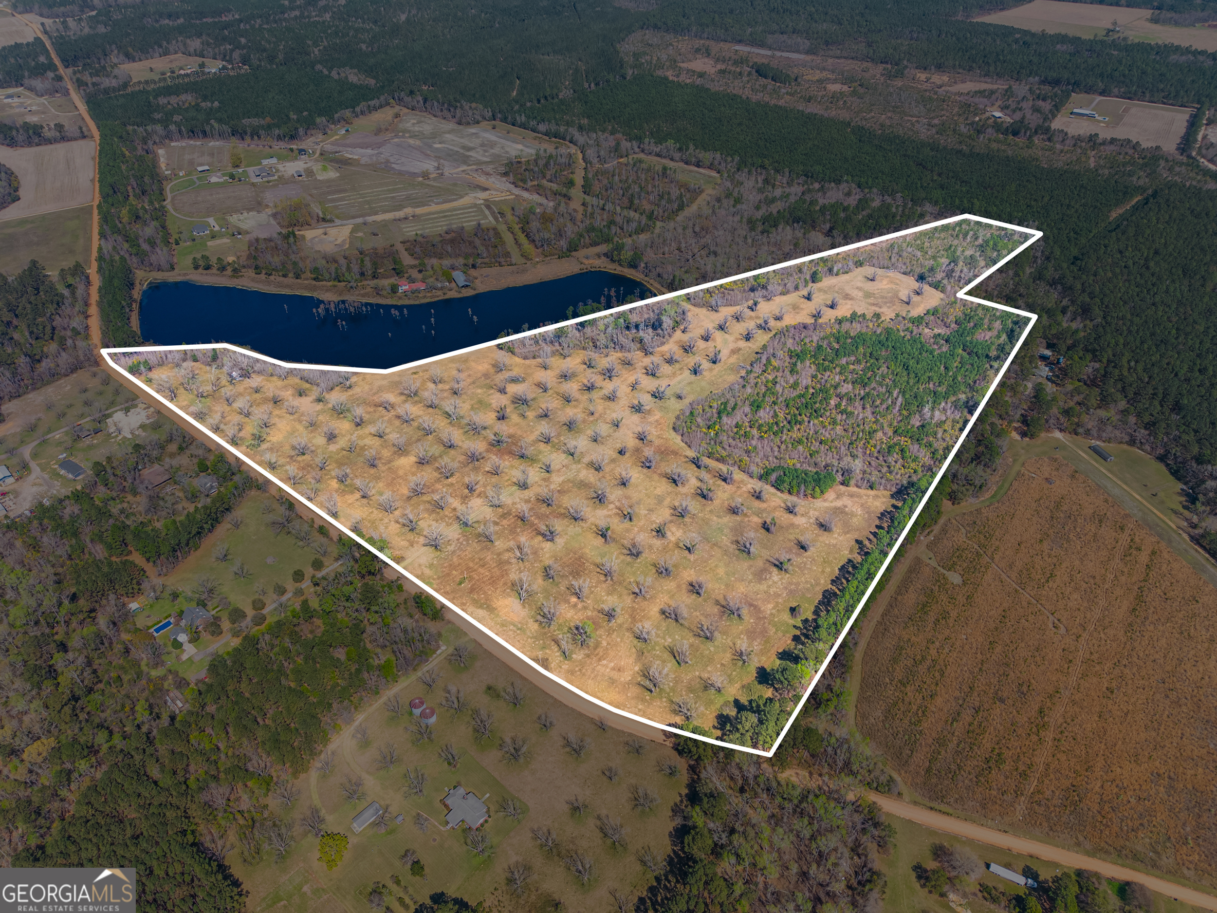 0 Cleary Road Brooklet, GA 30415 - Photo 1 of 16