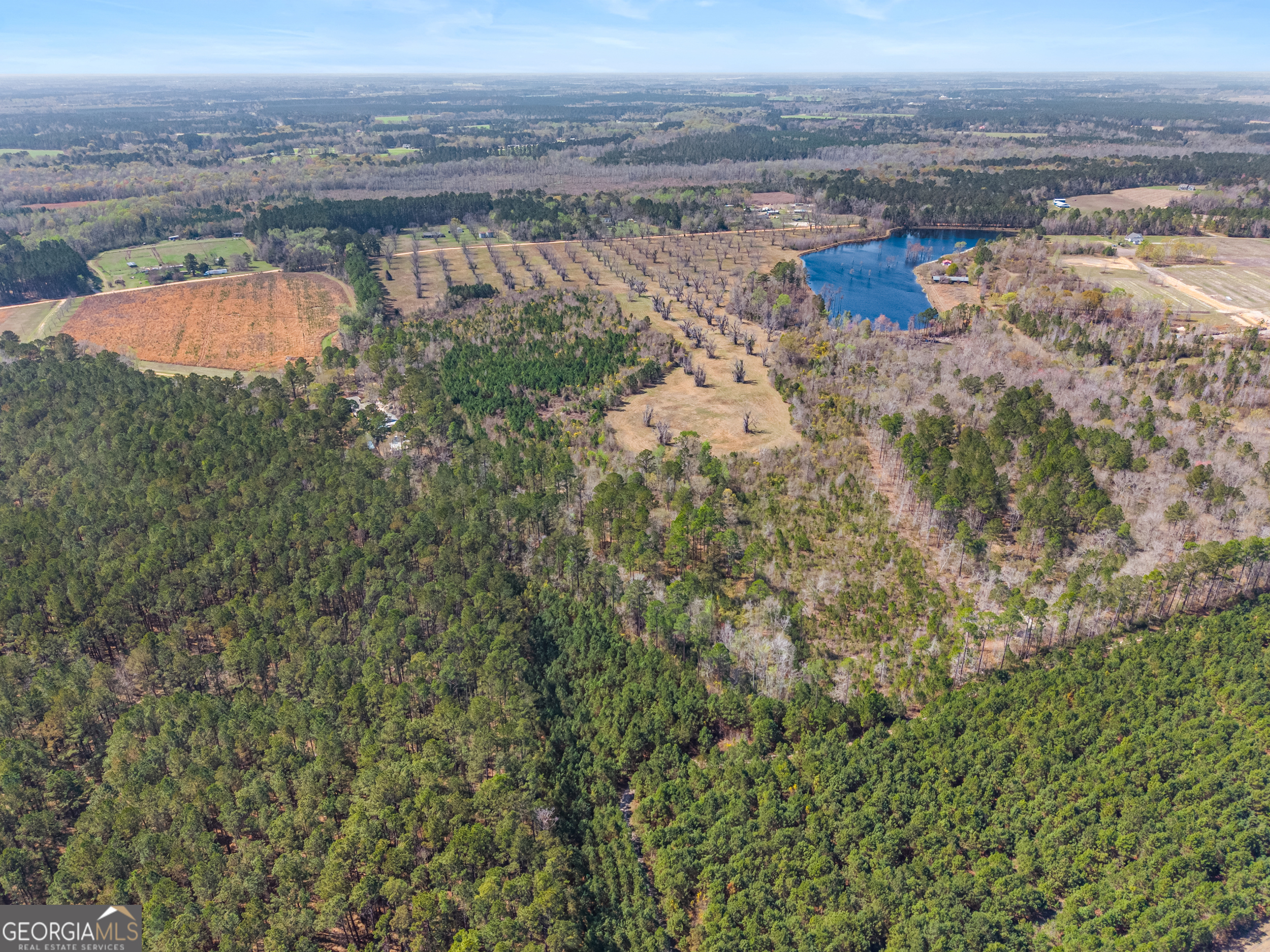 0 Cleary Road Brooklet, GA 30415 - Photo 12 of 16