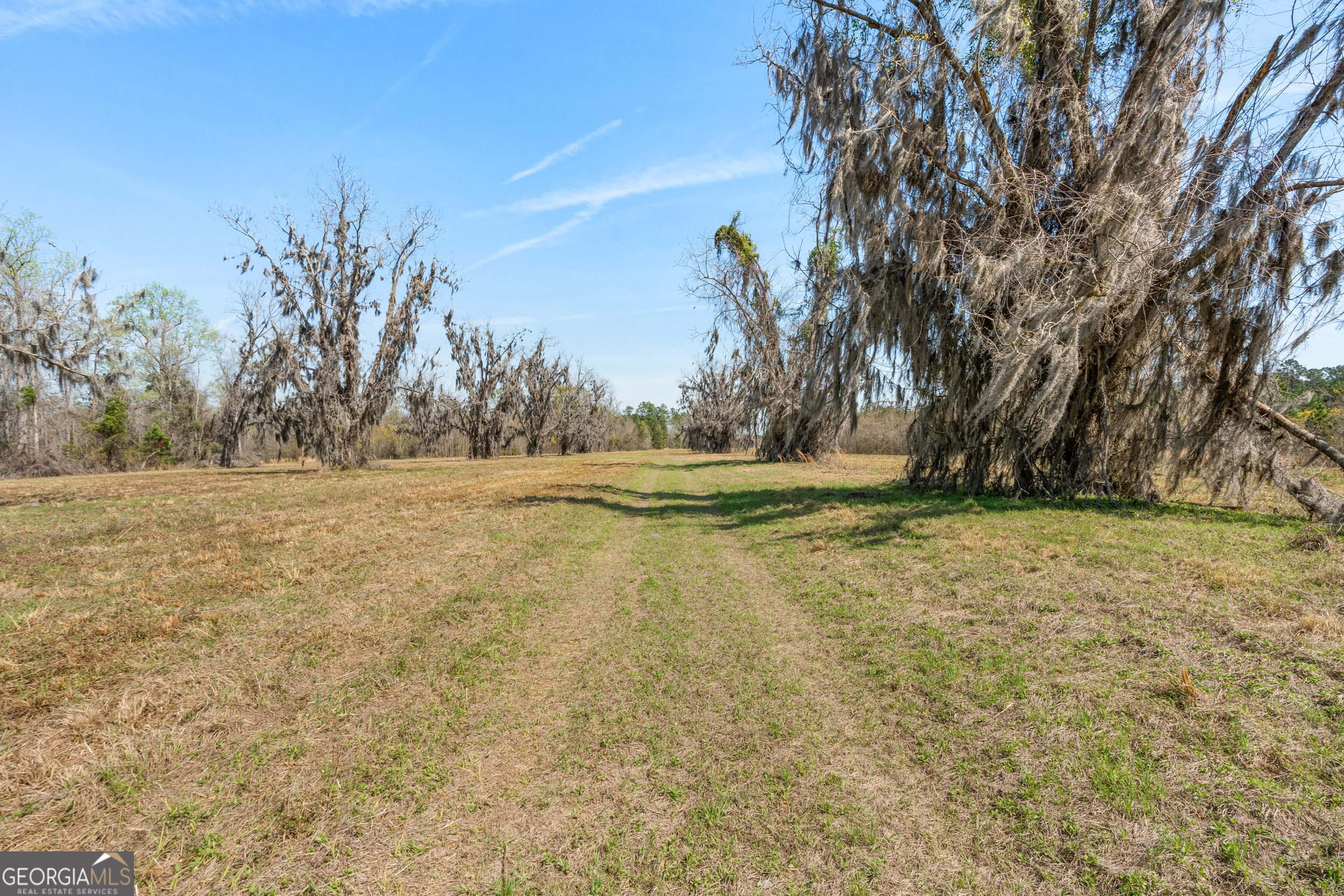 0 Cleary Road Brooklet, GA 30415 - Photo 14 of 16