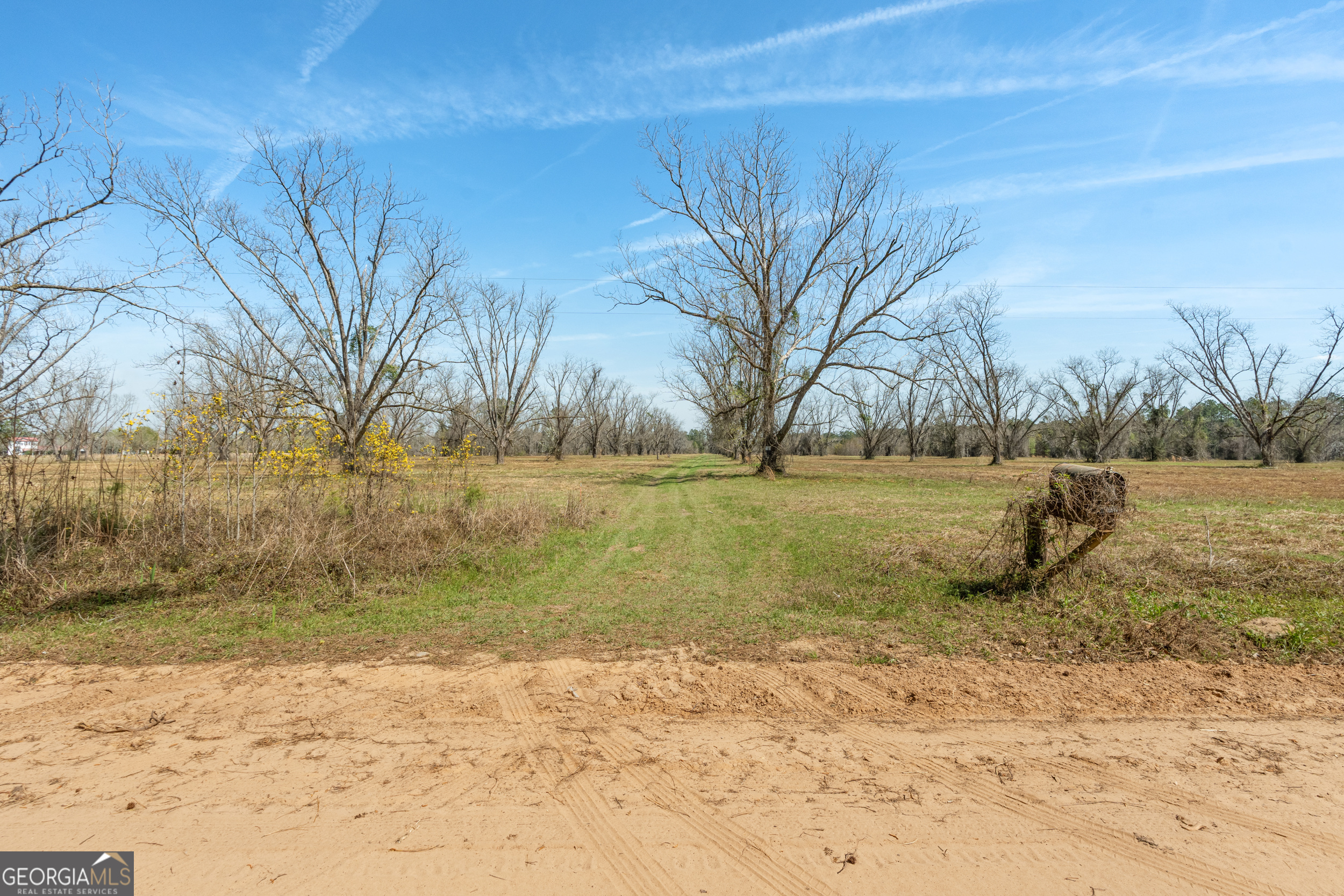 0 Cleary Road Brooklet, GA 30415 - Photo 15 of 16