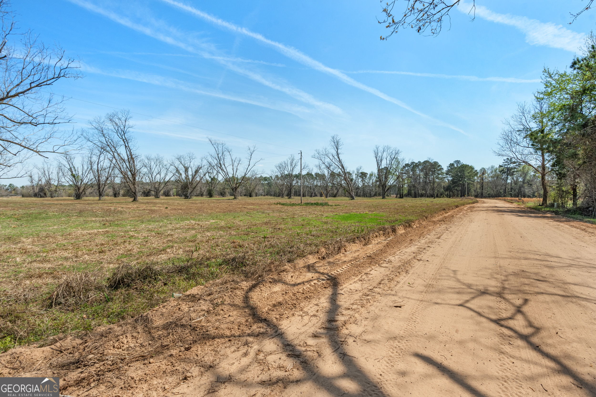 0 Cleary Road Brooklet, GA 30415 - Photo 16 of 16