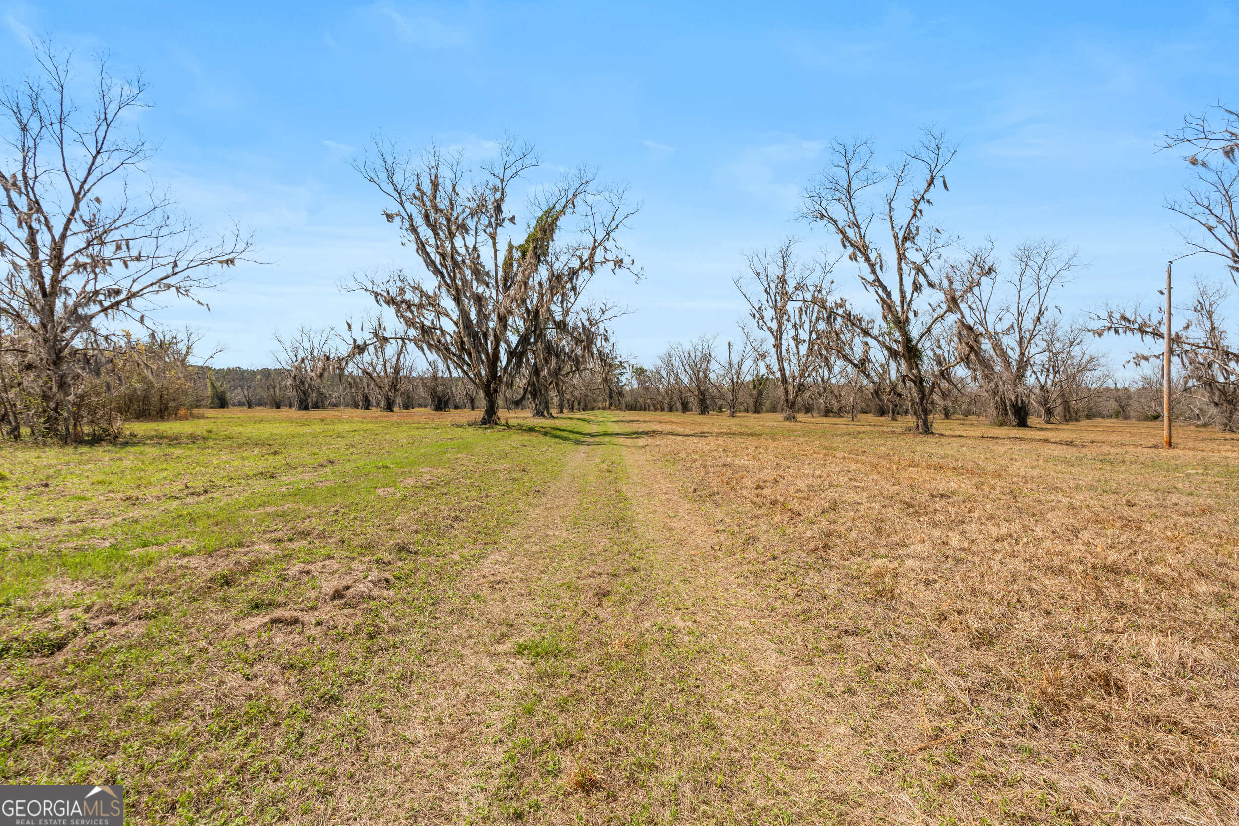 0 Cleary Road Brooklet, GA 30415 - Photo 2 of 16