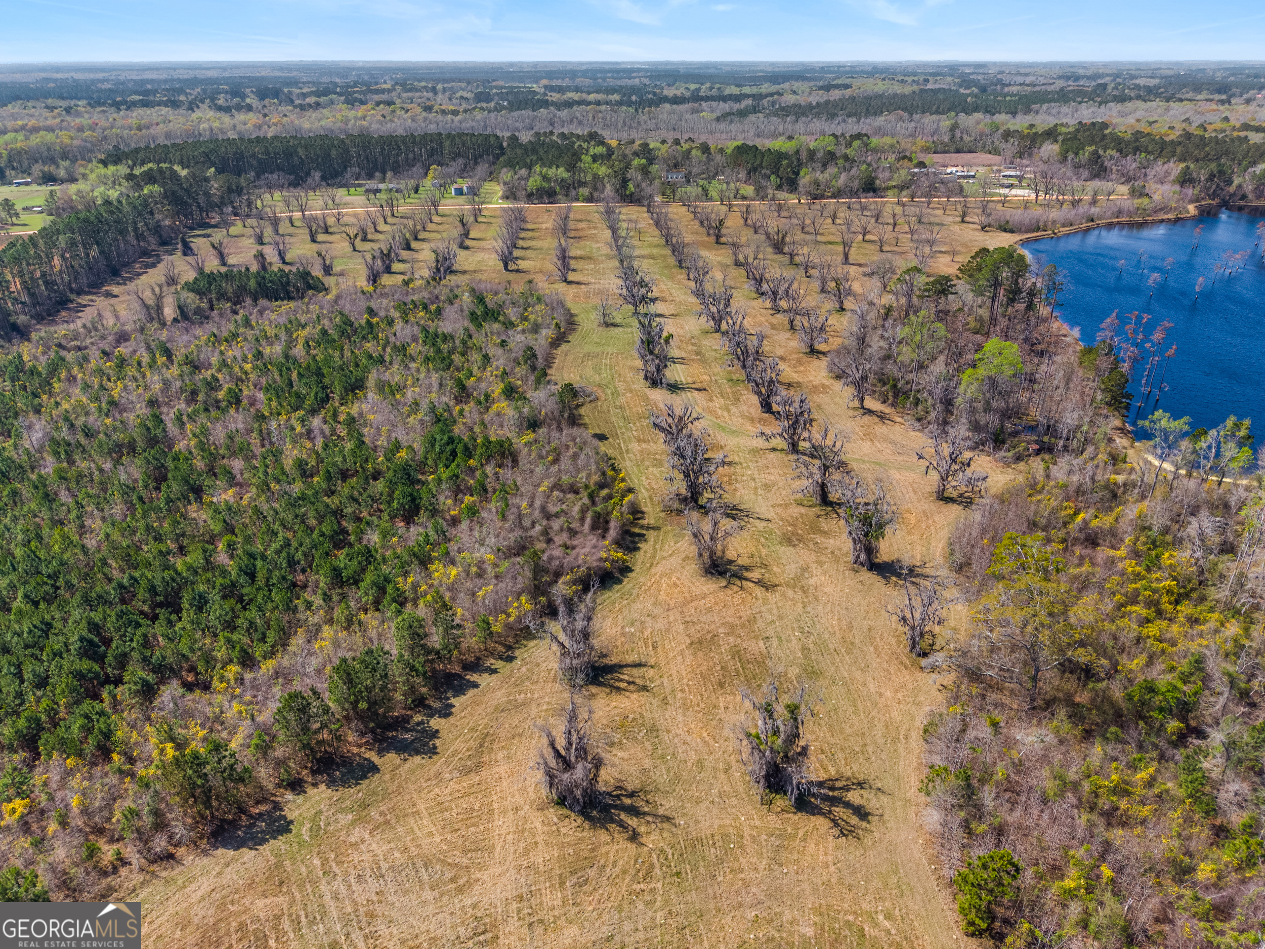 0 Cleary Road Brooklet, GA 30415 - Photo 3 of 16