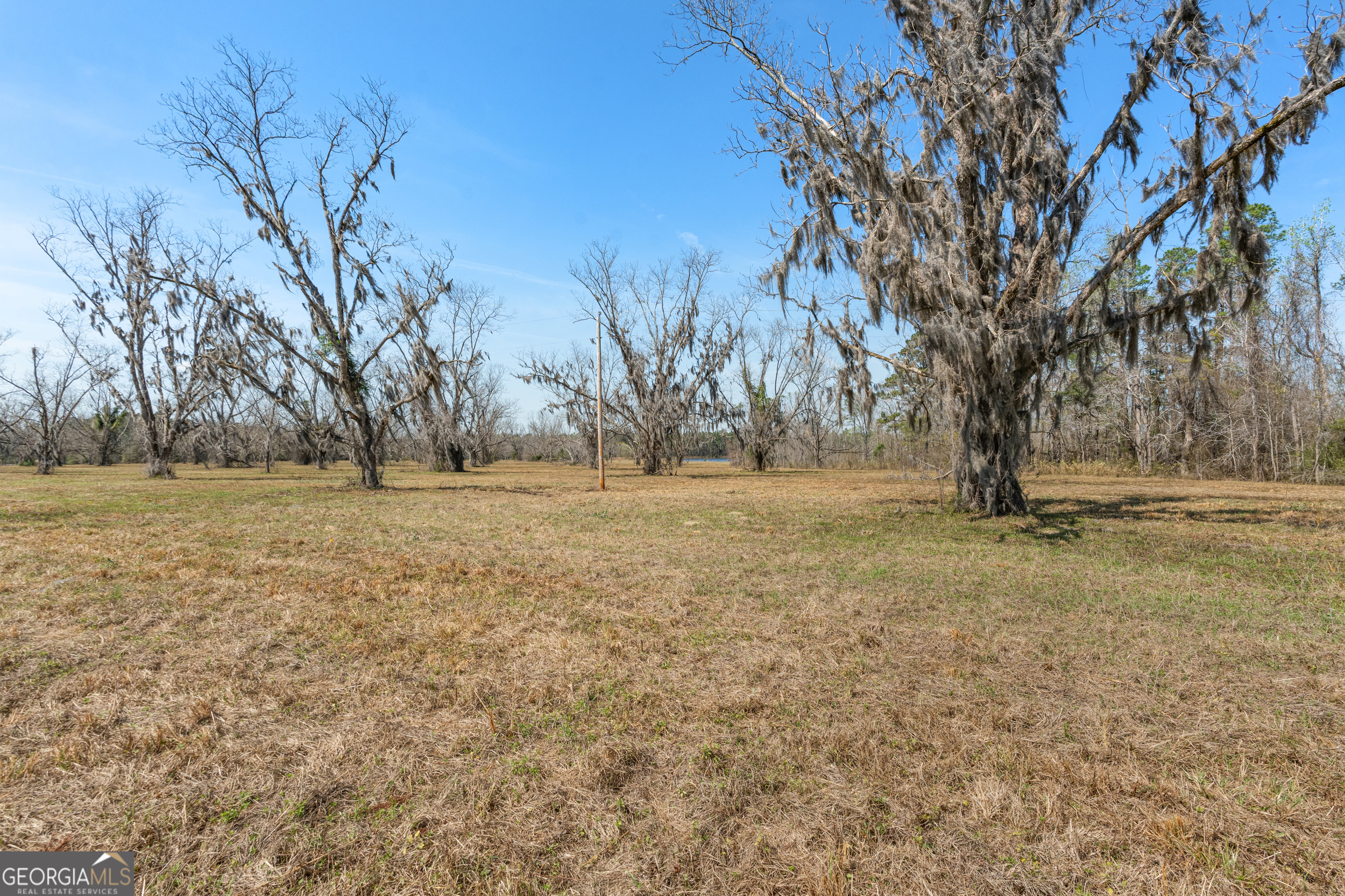 0 Cleary Road Brooklet, GA 30415 - Photo 4 of 16