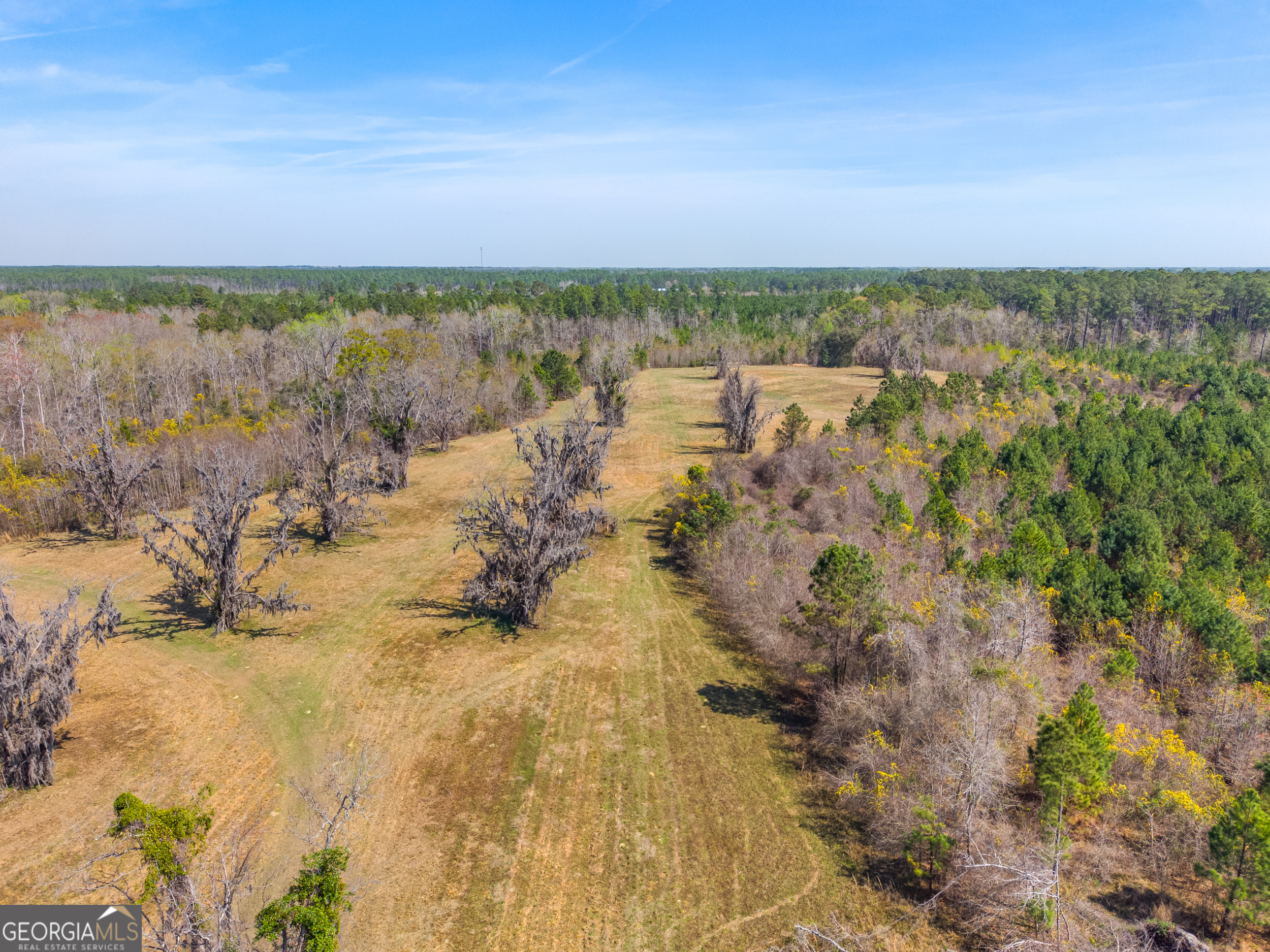 0 Cleary Road Brooklet, GA 30415 - Photo 5 of 16