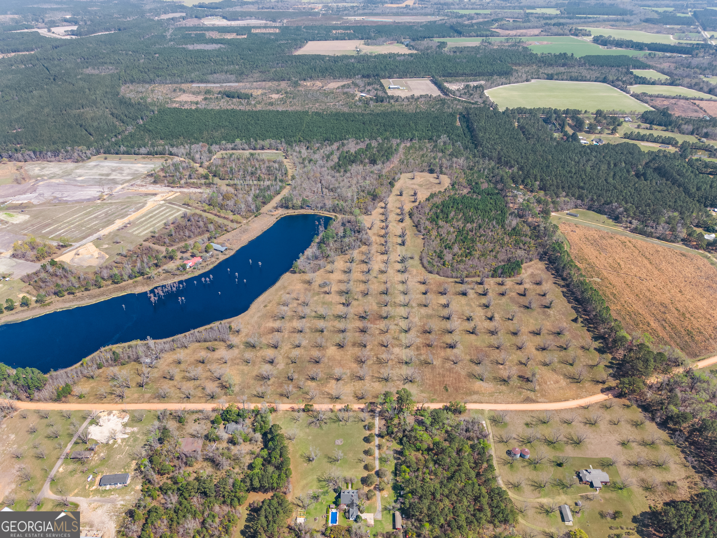 0 Cleary Road Brooklet, GA 30415 - Photo 7 of 16