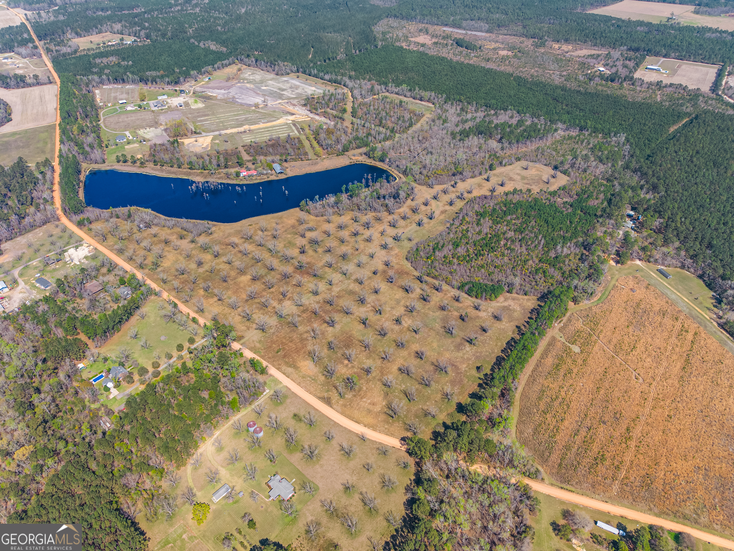 0 Cleary Road Brooklet, GA 30415 - Photo 8 of 16