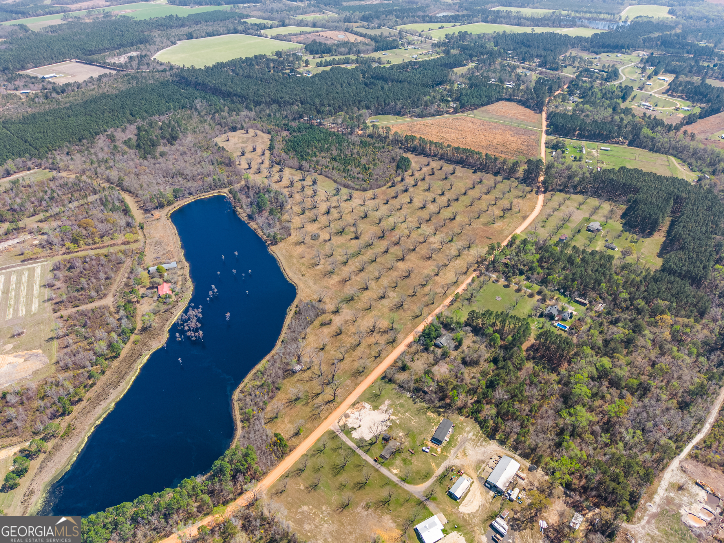 0 Cleary Road Brooklet, GA 30415 - Photo 9 of 16