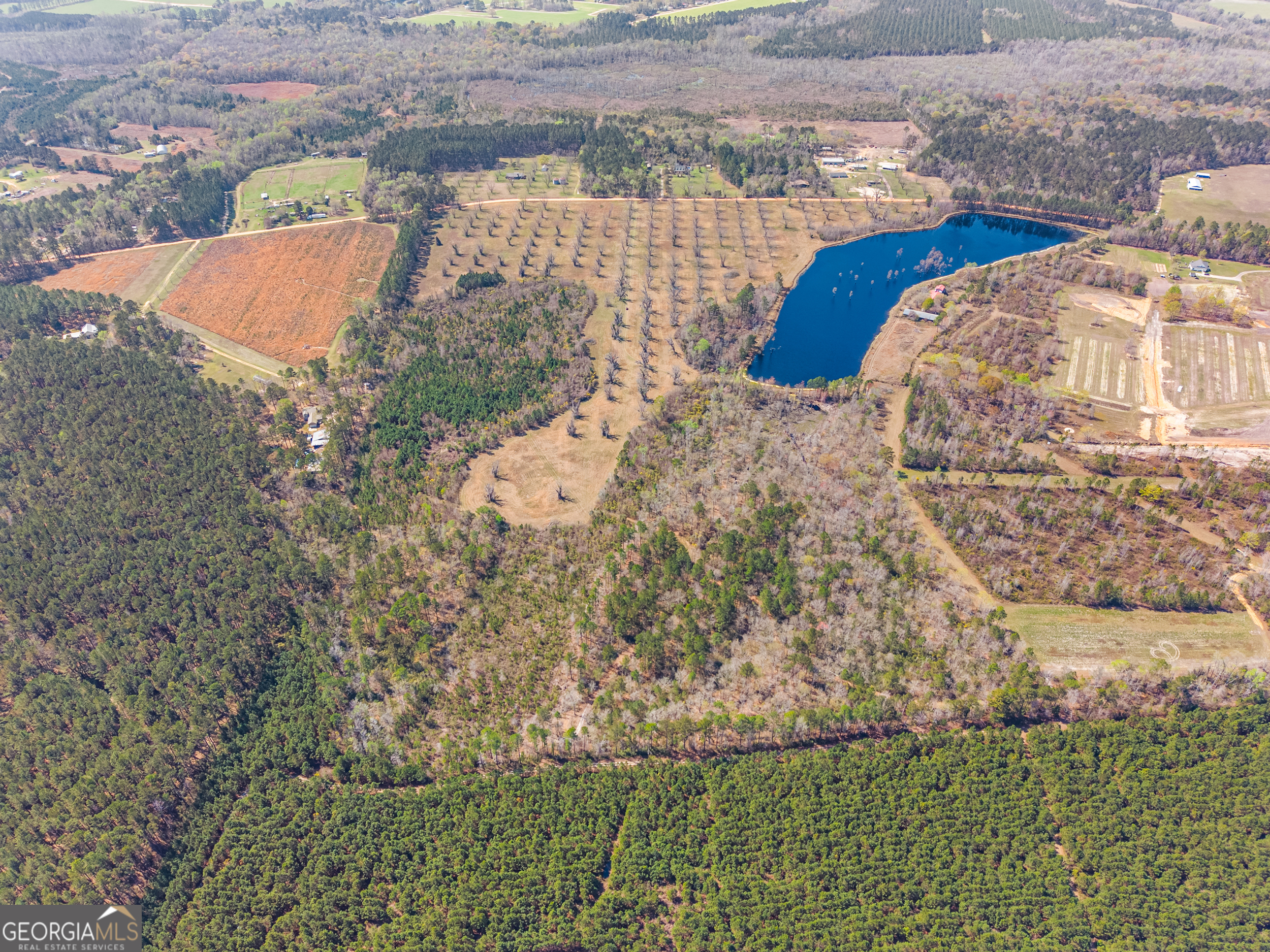 0 Cleary Road Brooklet, GA 30415 - Photo 10 of 16