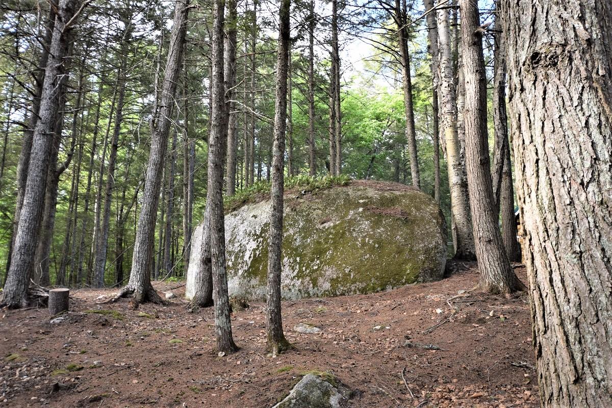 Lot#11 Basin Road Burlington, ME 04417 - Photo 42 of 50 Rocks with character...
