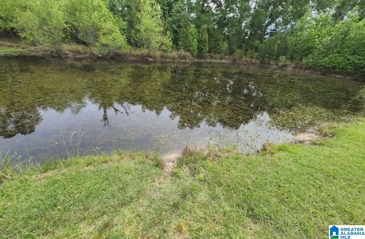 484 Blanding Road Hatchechubbee, AL 36858 - Photo 14 of 17