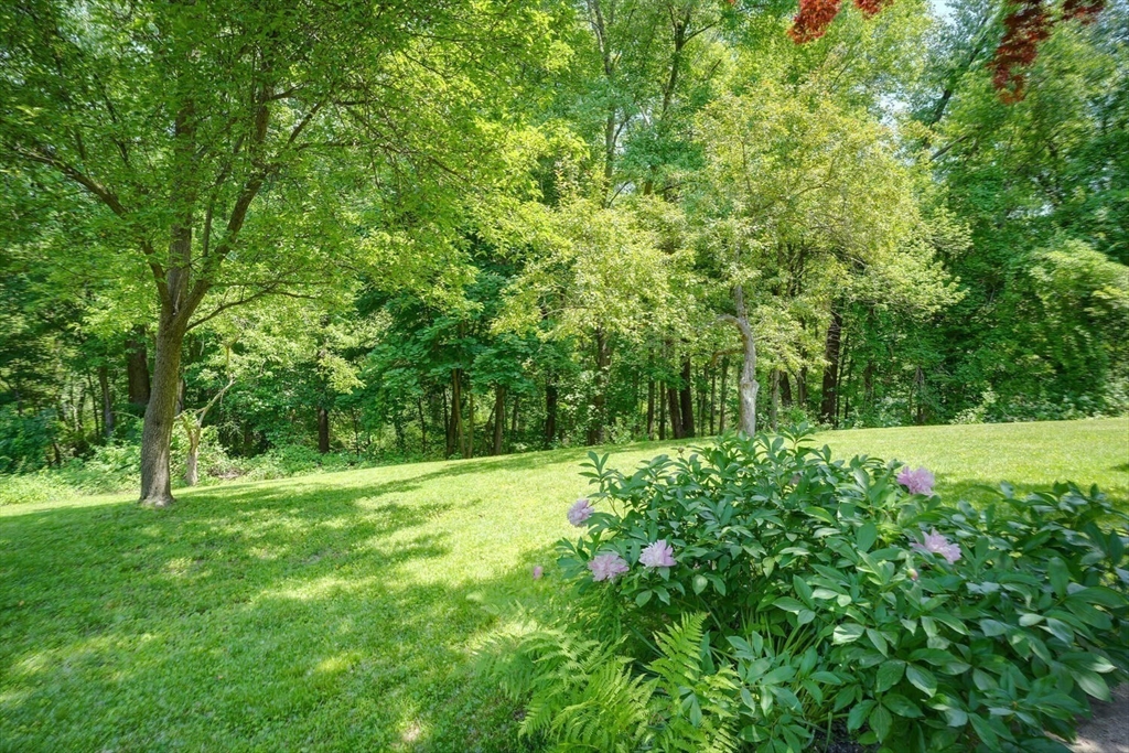 9 Lowry Road Framingham, MA 01701 - Photo 39 of 41 Gallery Image 39