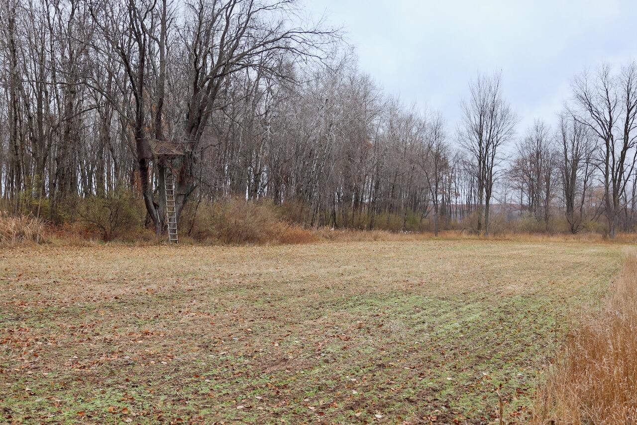 Hatton Road Farwell, MI 48622 - Photo 45 of 78 Gallery Image 45