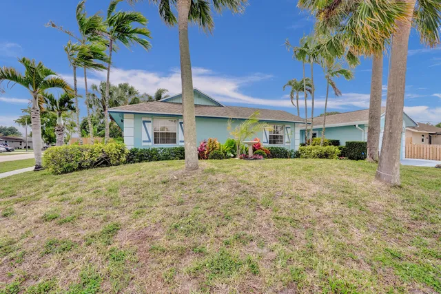 an aerial view of a house with a yard and large tree