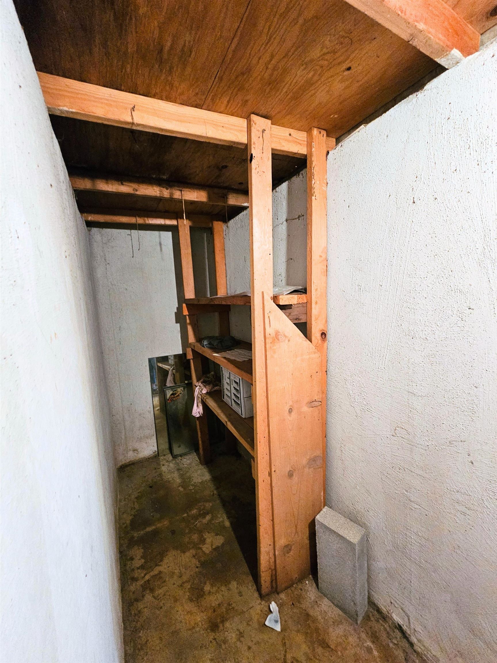 10040 South Reese Road Birch Run, MI 48415 - Photo 40 of 63 50176244-bb654745-ef65-4611-9e4d-a18bb6c31014.JPG