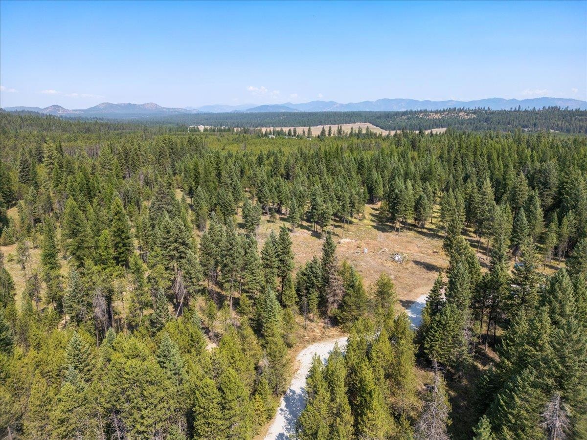 311 Bigfoot Road Newport, WA 99156 - Photo 5 of 22