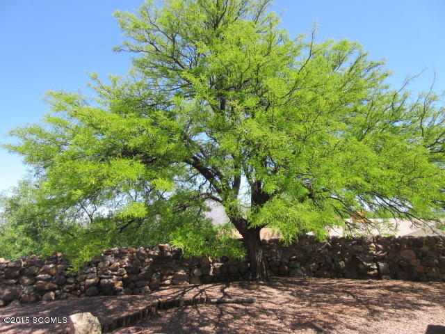 1058 Avenida Aprenda Rio Rico, AZ 85648 - Photo 7 of 40