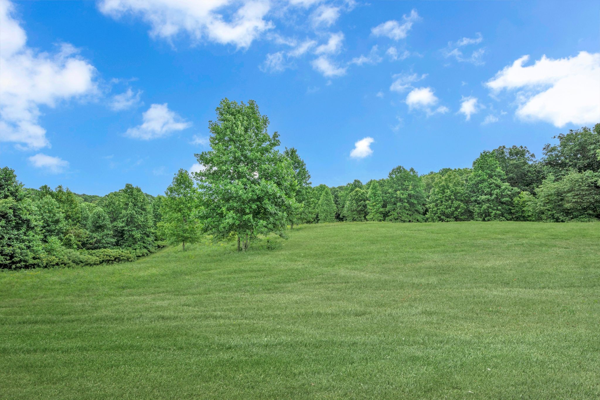 878 Ford Road White Bluff, TN 37187 - Photo 2 of 34 INCREDIBLE View Out the Back Door! 5.43 Acres+/-