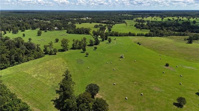 21258 Wallace King Road Bush, LA 70431 - Photo 3 of 17 Gallery Image 3