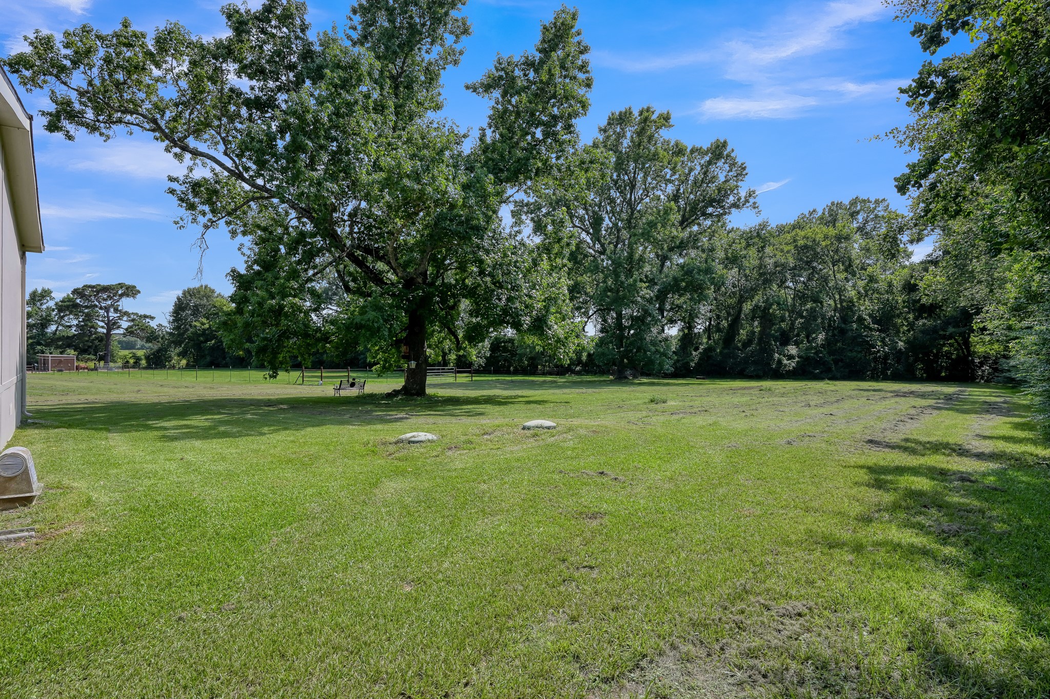17055 Rogers Road New Waverly, TX 77358 - Photo 37 of 44