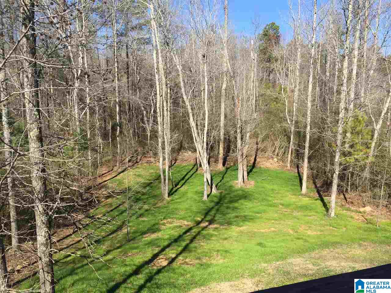 84 Megan Road Hayden, AL 35079 - Photo 5 of 24