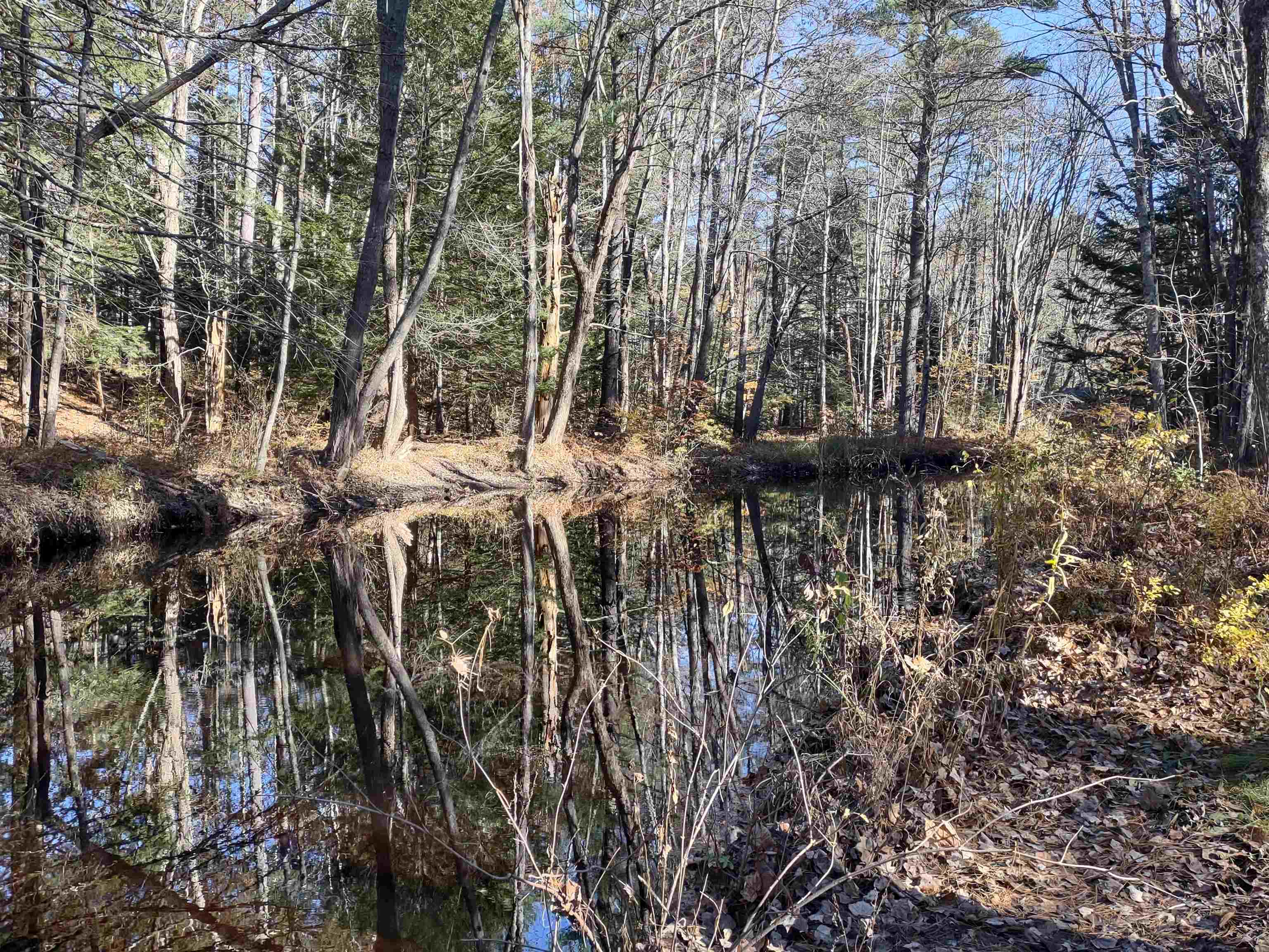 264 Berry River Road Barrington, NH 03825 - Photo 11 of 39