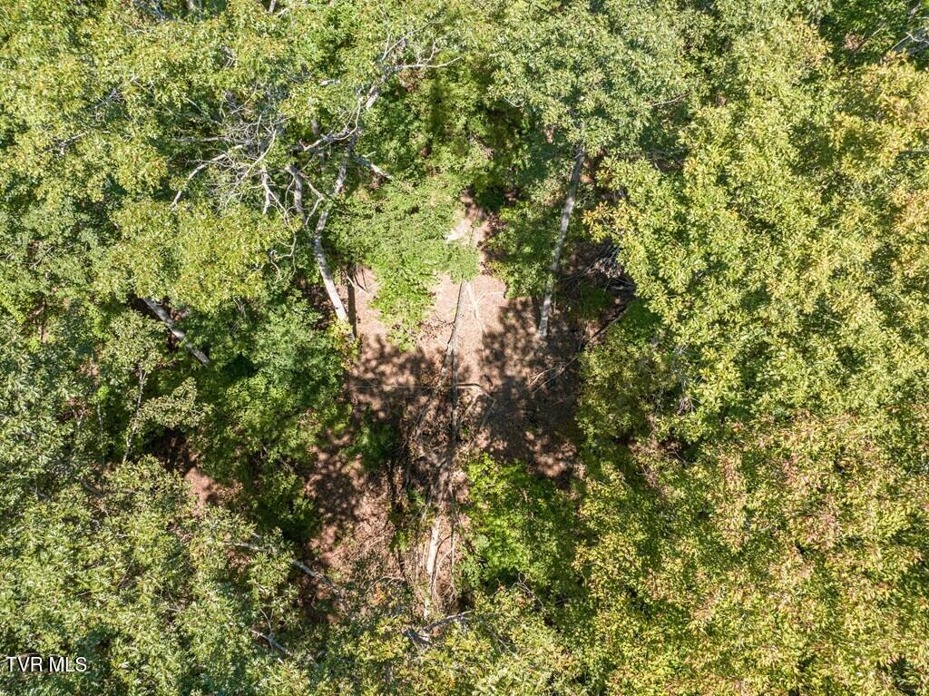 20181 North Fork River Road, Unit 6 7 8 Abingdon, VA 24210 - Photo 18 of 35 103441_15