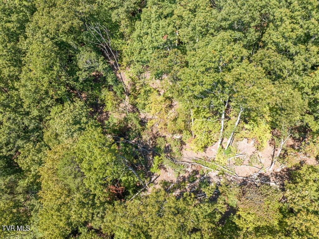 20181 North Fork River Road, Unit 6 7 8 Abingdon, VA 24210 - Photo 19 of 35 103441_16