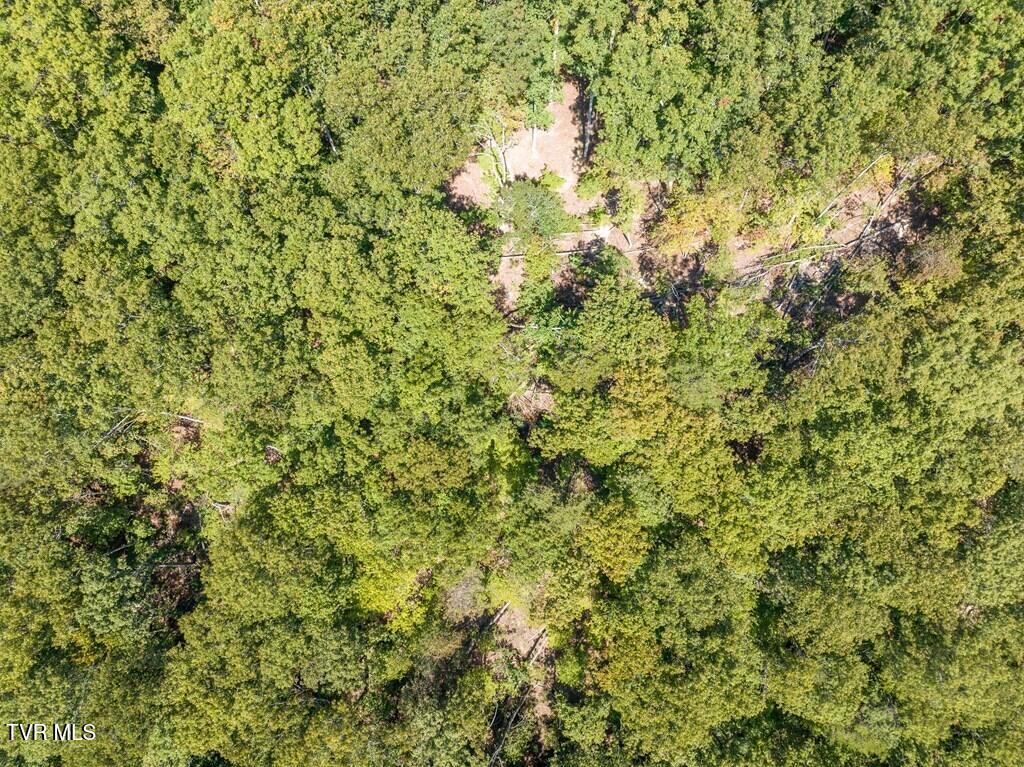 20181 North Fork River Road, Unit 6 7 8 Abingdon, VA 24210 - Photo 20 of 35 103441_17