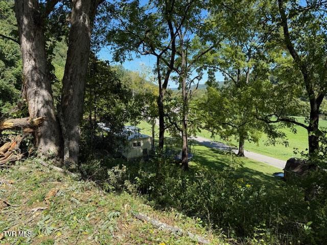 20181 North Fork River Road, Unit 6 7 8 Abingdon, VA 24210 - Photo 2 of 35 103441_33