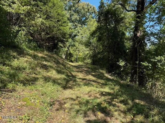 $235,000 | 20181 North Fork River Road, Unit 6 7 8, Abingdon, VA 24210