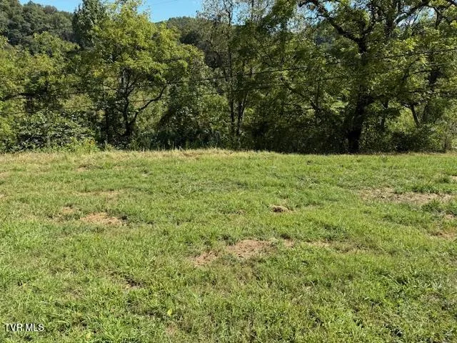 $235,000 | 20181 North Fork River Road, Unit 6 7 8, Abingdon, VA 24210