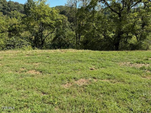 20181 North Fork River Road, Unit 6 7 8 Abingdon, VA 24210 - Photo 30 of 35 103441_27