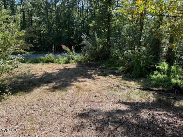 20181 North Fork River Road, Unit 6 7 8 Abingdon, VA 24210 - Photo 32 of 35 103441_29