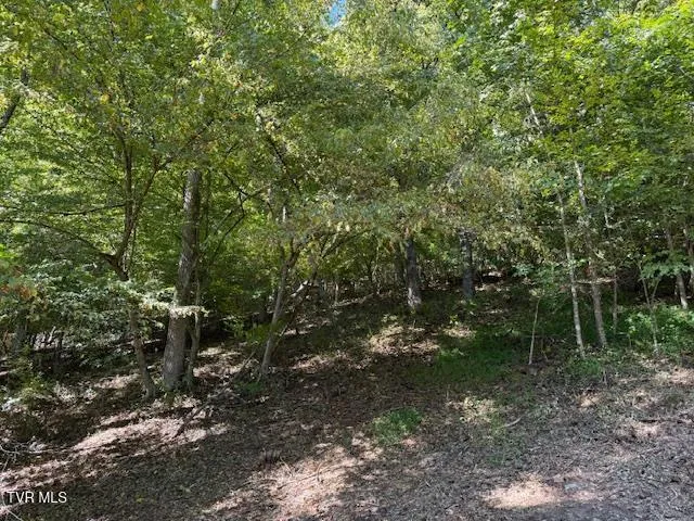 $235,000 | 20181 North Fork River Road, Unit 6 7 8, Abingdon, VA 24210