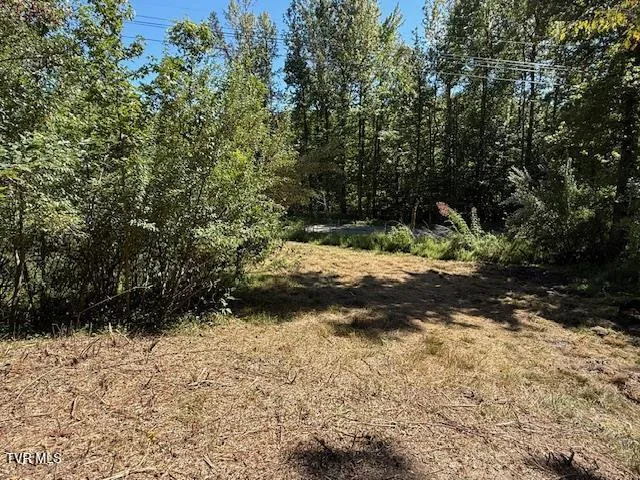 $235,000 | 20181 North Fork River Road, Unit 6 7 8, Abingdon, VA 24210