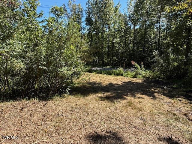 20181 North Fork River Road, Unit 6 7 8 Abingdon, VA 24210 - Photo 34 of 35 103441_31