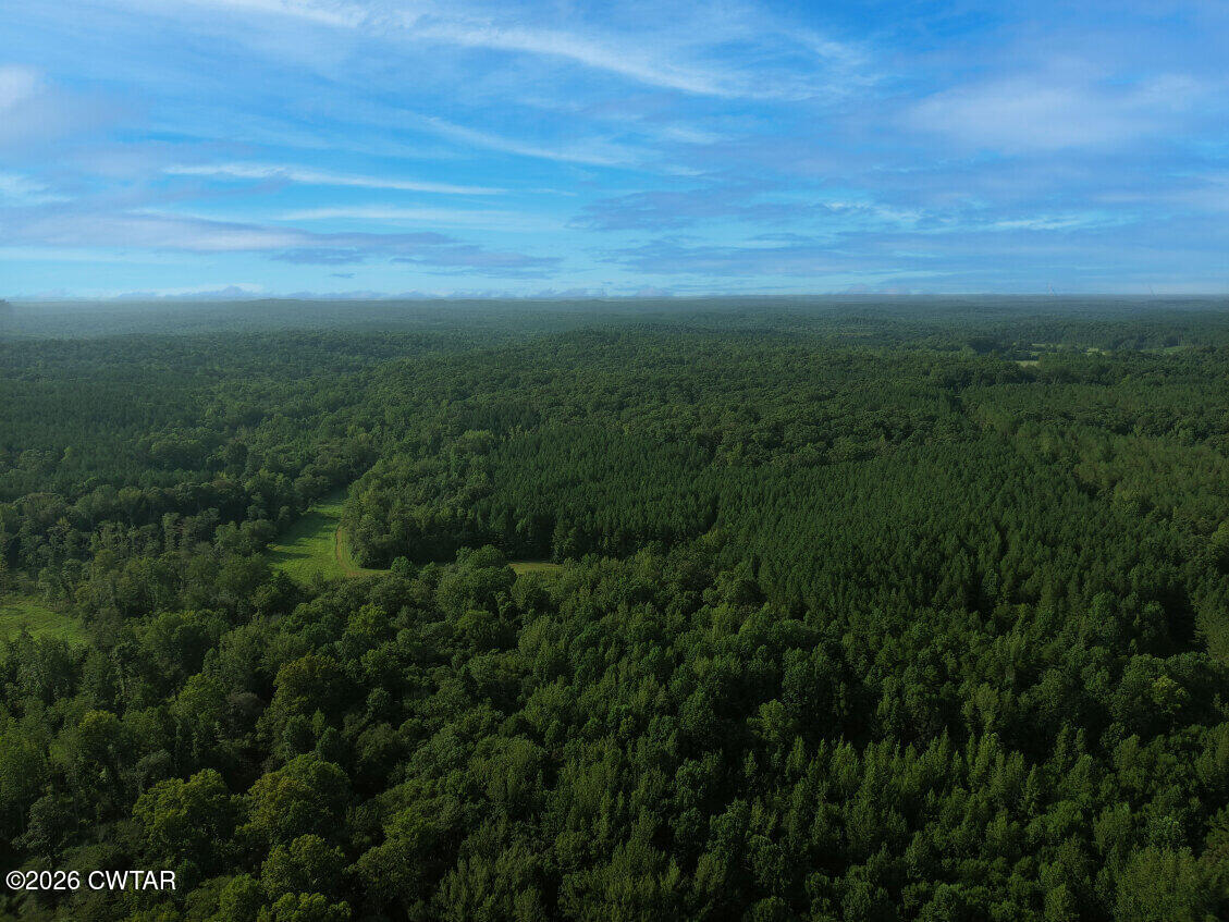 0 Authur Byrd Road Pocahontas, TN 38061 - Photo 5 of 14 a view of a field with an ocean