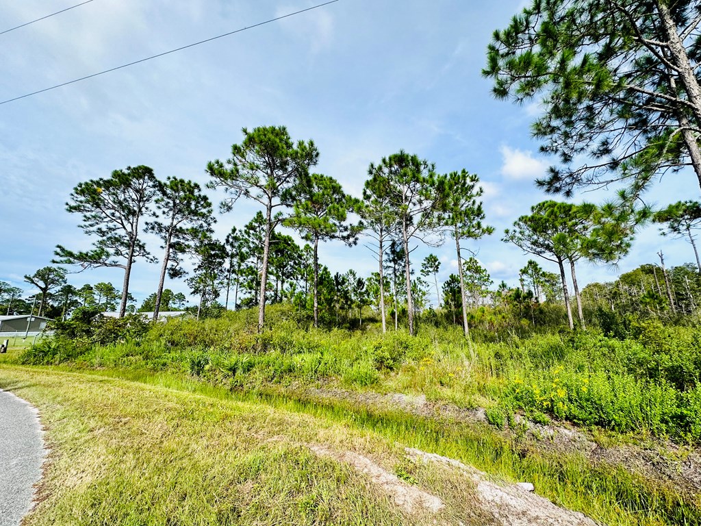 642 Ridge Road Eastpoint, FL 32328 - Photo 5 of 6
