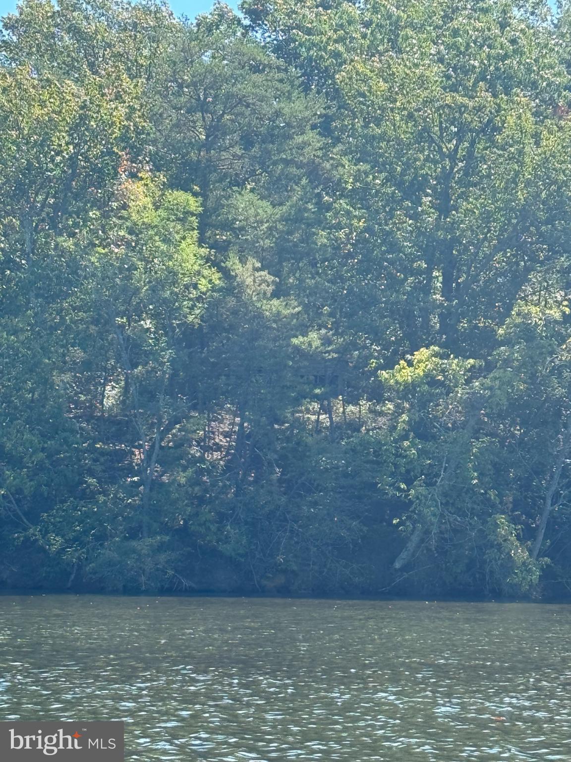 45410 Clarks Mill Road Hollywood, MD 20636 - Photo 2 of 4 Lush greenery reflecting on tranquil waters.