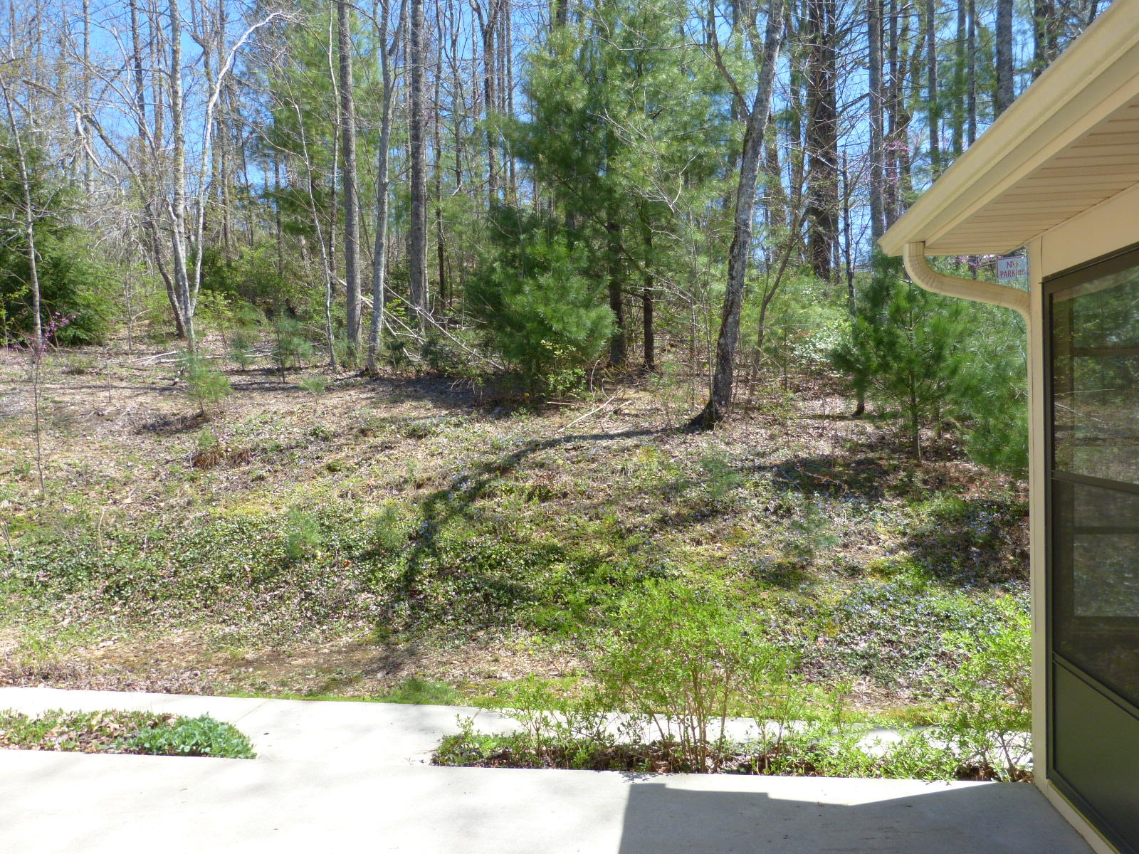 197 Evergreen Place Pleasant Hill, TN 38583 - Photo 16 of 22 back yard